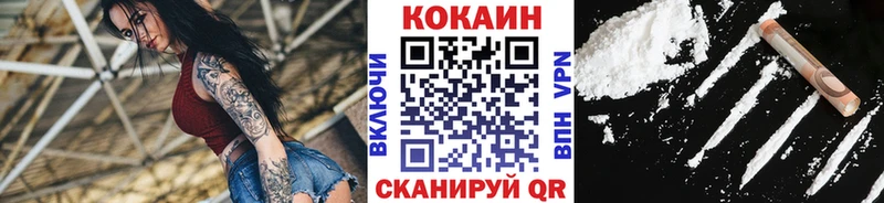 где найти   Эртиль  Кокаин Fish Scale 