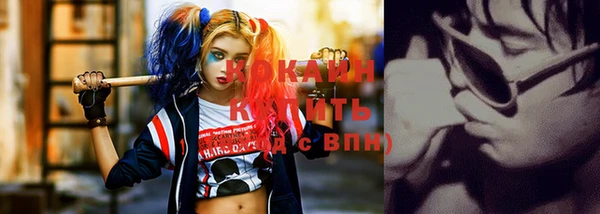 дживик Новозыбков