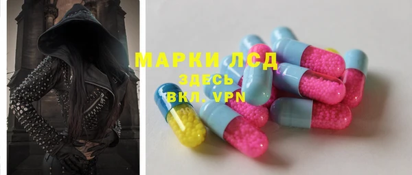 дживик Новозыбков