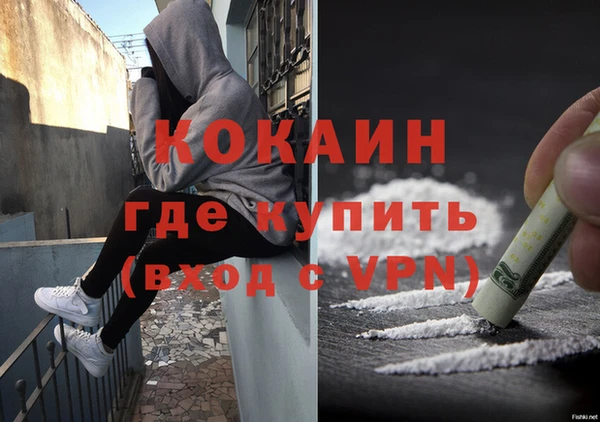 дживик Новозыбков