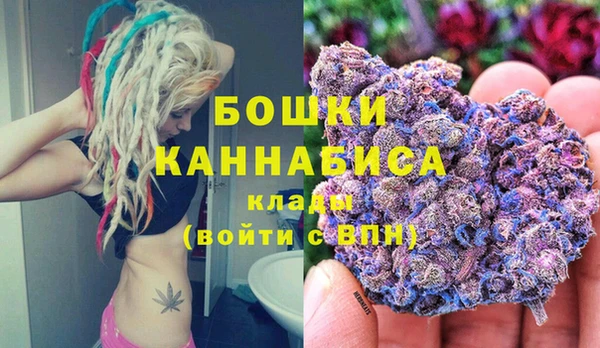 дживик Новозыбков