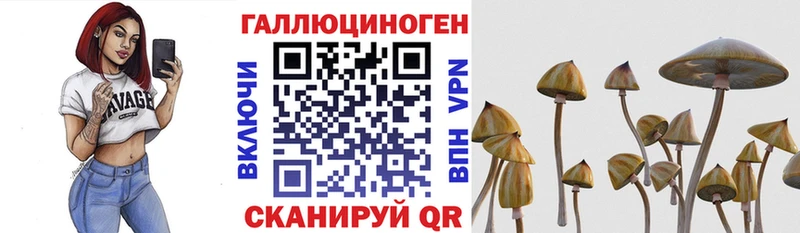 Псилоцибиновые грибы мухоморы Эртиль
